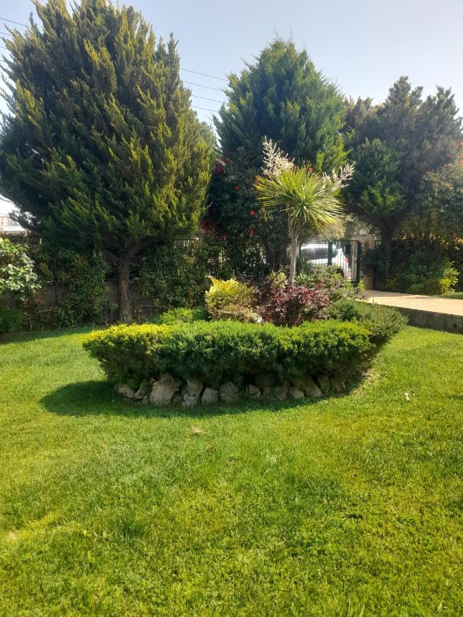 Beautiful Summer Villa In Chalkoutsi Khalkoutsion エクステリア 写真
