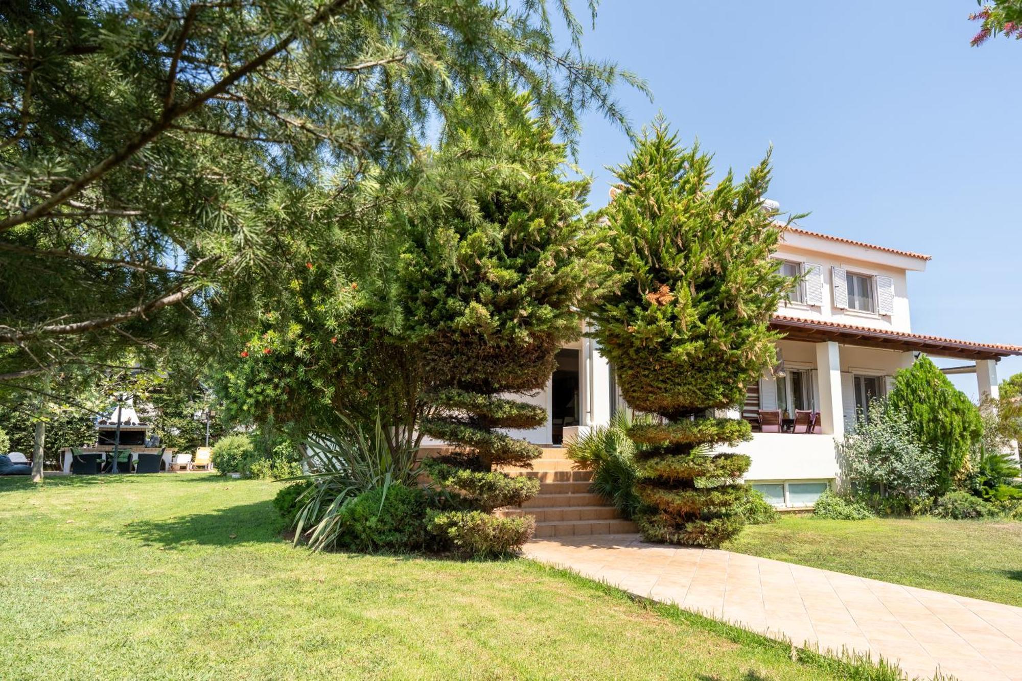 Beautiful Summer Villa In Chalkoutsi Khalkoutsion エクステリア 写真