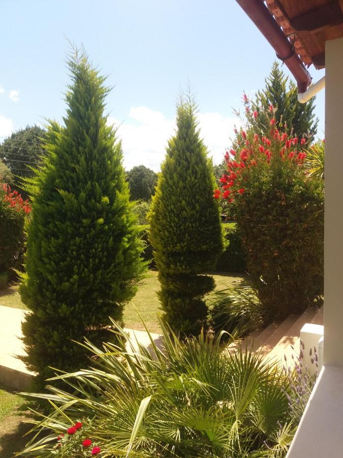 Beautiful Summer Villa In Chalkoutsi Khalkoutsion エクステリア 写真